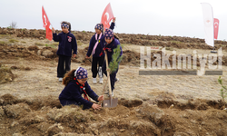 Yozgat’ta 3 Milyonun Üzerinde Fidan Toprakla Kavuştu