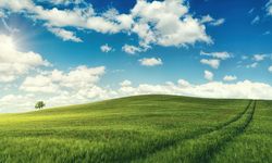 Yozgat'ta Dev Satış: Acele Eden Önemli Arsayı Değerinin Altında Alacak