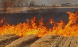 Yozgat’ta Korkutan Yangın Kısa Süre İçinde Kontrol Altına Alındı