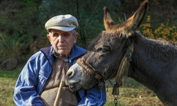 24 Yıldır Eli Ayağı Eşeği Oldu