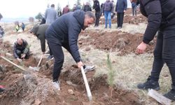 Sorgun’da Yeşil Vatan Seferberliği : Geleceğe miras olacak çalışma sahada yürütülüyo