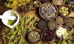 Yozgat’ta Adaptogen Bitkilerin Sinir Sistemi Üzerindeki Etkileri Akademik Çalışmayla Anlatılacak