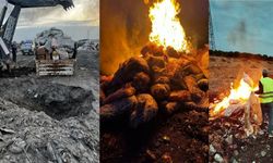 Son Kullanma Tarihi Geçmiş 2 Ton Cips, Şekerleme ve Çikolata İmha Edildi