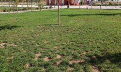 Boğazlıyan’da Çevre Yatırımları 2025’te Hız Kesmiyor