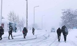 Bu kış kar yağacak mı, havalar nasıl olacak? Meteoroloji'den üzen 2026 tahmini