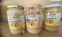 Çayıralan Balları ÇEKOOP Tezgahlarında Satışa Sunuldu