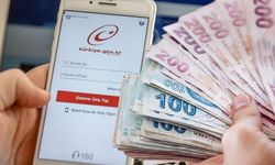 E- Devlet Üzerinden Başvuranın Hesabına Yatacak!
