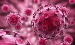 H3N2 virüsü nedir? Belirtileri, bulaşma yolları ve korunma yöntemleri neler?