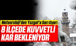 Meteoroloji'den Yozgat'a Sarı Uyarı: 8 İlçede Kuvvetli Kar Bekleniyor