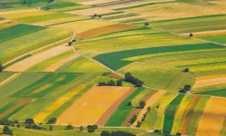 O illerden arsa alanlar bu yıl paraya para demedi!