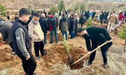 Şefaatli'de Şehitler Hatıra Ormanı Oluşturuldu