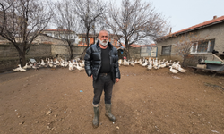 Şehirden Köye Uzanan Bir Dönüş Hikayesi