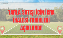 Yozgat Tarla Satışı İçin İcra İhalesi Tarihleri Açıklandı!