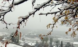 Bu Kış Ilık ve Kurak Geçebilir Ancak Sürpriz Soğuklar da Görülebilir