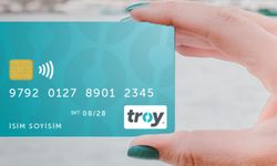 Troy Kimin, Devletin mi, Özel mi?