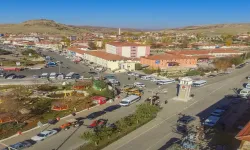 Saraykentliler, Viyana'yı Kuşatacak