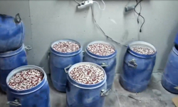 Yapılan Operasyonlarda Yaklaşık 7 Milyon Uyuşturucu Hap Ele Geçirildi