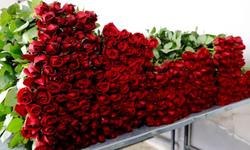 Yılbaşına Rekor Satış: 12 Milyon Dolarlık İhracat