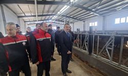 Yozgat Valisi Özkan’dan Kırsalda Bereket Projesine Yerinde İnceleme