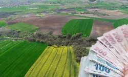 Yozgat'ın Merkezinde 3 Tarla Birden Satılacak: Mahkeme Şaşırtan Fiyatı Paylaştı