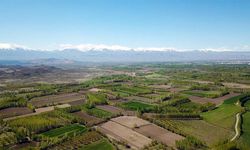 Yozgat'ın Merkezinde İki Alan Birden Satılacak: Bu Rakamı İlk Getiren Mahkemeden Alacak