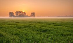 Yozgat'ın Merkezinde İki Tarla Satılacak: İkinci El Araba Fiyatına Yer Sahibi Olmak İsteyenler Dikkat