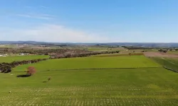 Yozgat'ta araba fiyatına arsa satılacak: Konumu ve fiyatı şaşkınlık yarattı