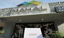 Zeray GYO Hissesi ZERGY Kaç Lot Verir? Eşit mi, Oransal mı, Katılım Endeksine Uygun mu?