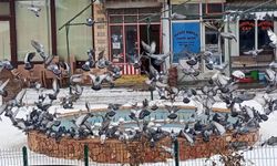 Kış zor geçti, merhamet öne çıktı