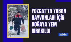 Yozgat’ta Yaban Hayvanları İçin Doğaya Yem Bırakıldı