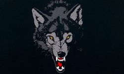 Yozgat’ta Operasyon: 4 Ecstasy ve 57 Sentetik Hap Ele Geçirildi