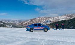 Yozgat’ta Yaban Hayatına Yönelik Denetim