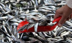 Ne Reklam Ne Gösteriş… Yozgatlı Balıkçının ‘Doğaya Borç’ Geleneği