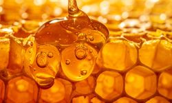 Bu Markalar Çok Tanıdık: Bakanlık Hileli Balları Açıkladı