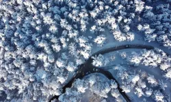 SORGED, Gençleri Çamlıkta Buluşturacak