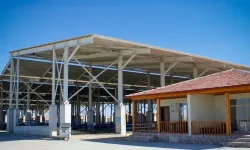 Yozgat'ta O Hayvan Pazarı Kapatıldı!