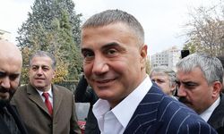 Sedat Peker Kimdir, Sedat Peker Nerelidir?