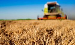 Yozgat’ta Ekonomik Güç Nasıl Şekilleniyor? Tarımdan Sanayiye