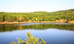 Yozgat’ta Piknik Yapılacak En Güzel Yerler