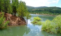 Yozgat Nerede, Hangi İllerle Komşu?