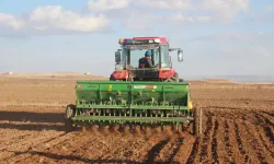 Yozgat'ta binlerce ton üretilecek! Bütün şehirde bolluk olacak