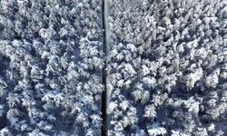 Yozgat'ta Kar Manzarası Görenleri Büyüledi