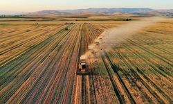 Yozgat'ta tarım ve hayvancılık yapmak isteyenlere müjde! Dev hibe desteği geliyor