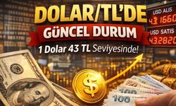 1 Dolar Kaç TL? 28 Şubat 2026 Güncel Dolar Fiyatları