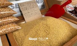 Yozgat'ta Fiyatlar Sakin, İlgi Canlı!