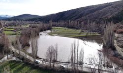 Akdağmadeni'nde Eriyen Kar Suları Taşkına Yol Açtı