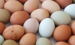 TÜİK Açıkladı: Kişi Başına Düşen Yumurta Sayısı Azaldı!