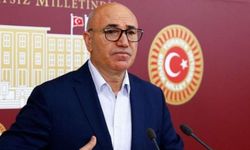 Mahmut Tanal kimdir, kaç yaşında ve nereli? CHP Şanlıurfa Milletvekili Mahmut Tanal'ın biyografisi