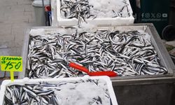 Yozgat Ramazan Bereketi Balık Satışlarını Artırdı