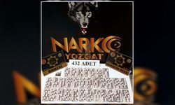 Çorum'dan Yozgat'a Geliyorlardı 432 Uyuşturucu Hap ile Yakalandılar